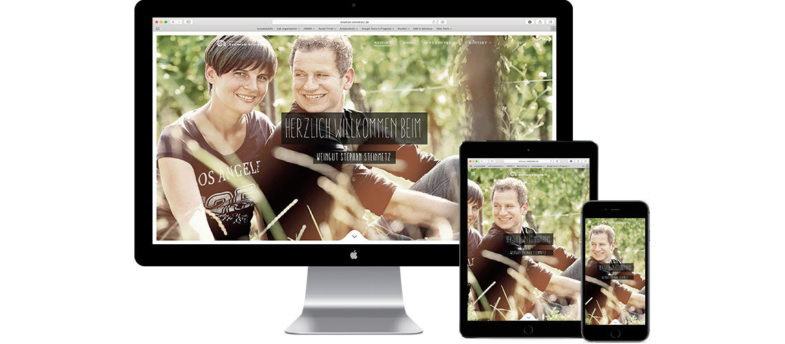 Website innerhalb eines WordPress Systems